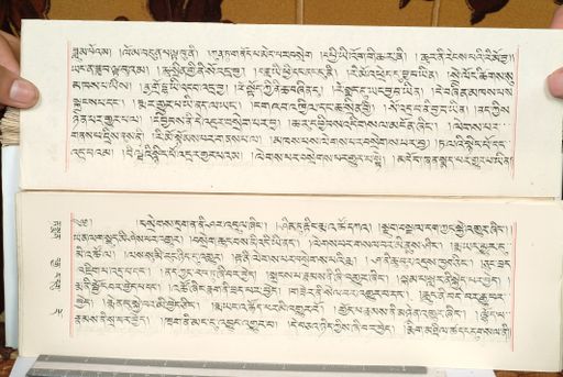 canvas: 1559fh_LTWA_800