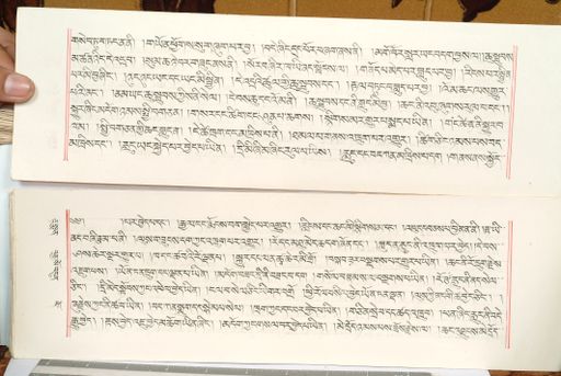 canvas: 1559ek_LTWA_800