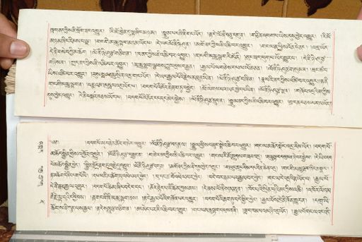 canvas: 1559gl_LTWA_800