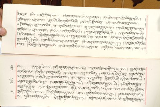 canvas: 1559bj_LTWA_800