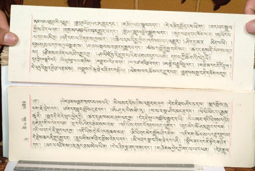 canvas: 1559fd_LTWA_800