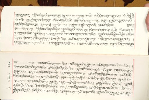 canvas: 1559bc_LTWA_800