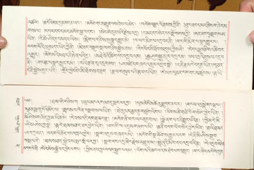 canvas: 1559dq_LTWA_800