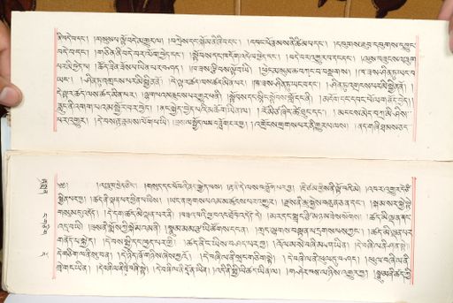 canvas: 1559az_LTWA_800