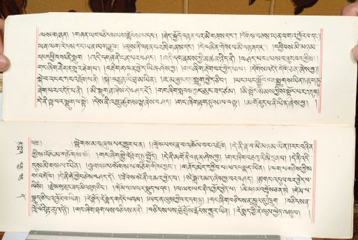 canvas: 1559di_LTWA_800