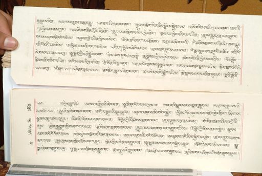 canvas: 1559ga_LTWA_800