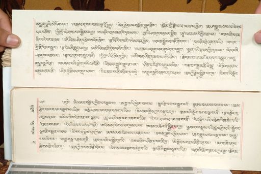 canvas: 1559gf_LTWA_800