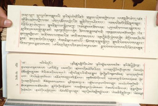 canvas: 1559gc_LTWA_800