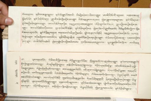 canvas: 1559gk_LTWA_800