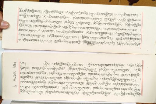 canvas: 1559ed_LTWA_800