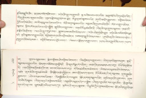 canvas: 1559ap_LTWA_800