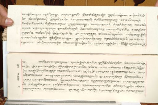 canvas: 1559gi_LTWA_800