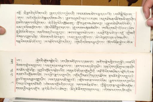 canvas: 1559dd_LTWA_800