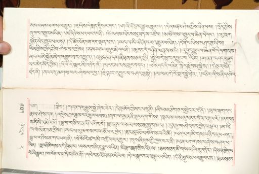 canvas: 1559aa_LTWA_800