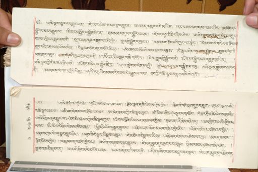 canvas: 1559gq_LTWA_800