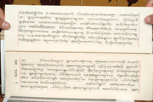 canvas: 1559fi_LTWA_800