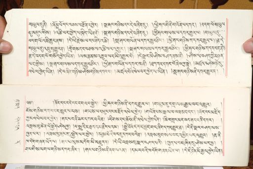 canvas: 1559ca_LTWA_800