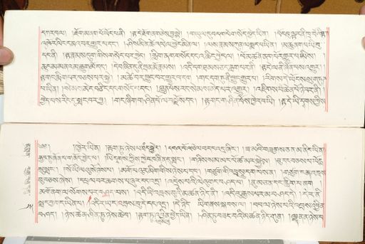 canvas: 1559ds_LTWA_800