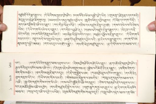 canvas: 1559cm_LTWA_800