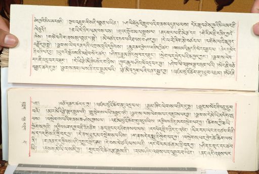 canvas: 1559fe_LTWA_800