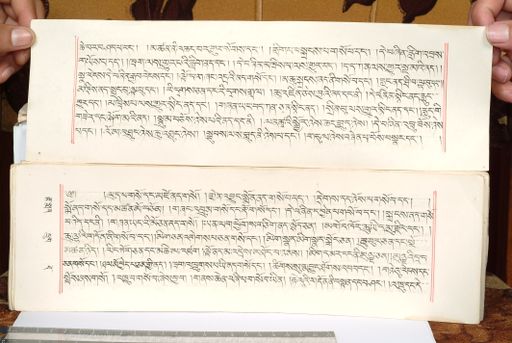 canvas: 1559f_LTWA_800