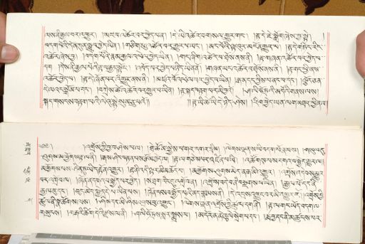 canvas: 1559dc_LTWA_800