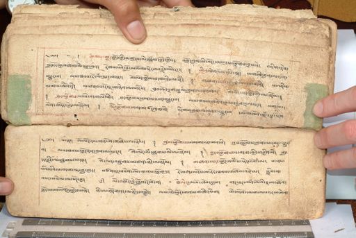 canvas: 1558ea_LTWA_800