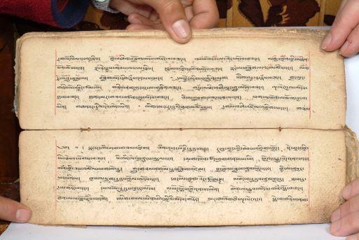 canvas: 1558ar_LTWA_800