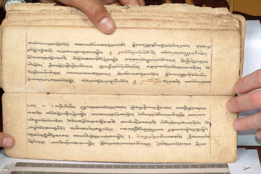 canvas: 1558ec_LTWA_800