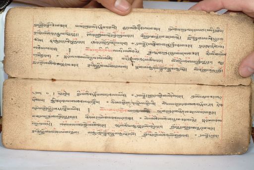 canvas: 1558e_LTWA_800