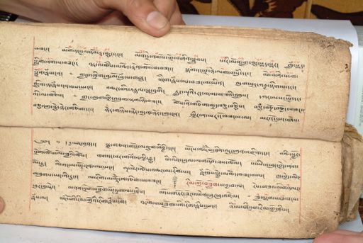 canvas: 1558ag_LTWA_800