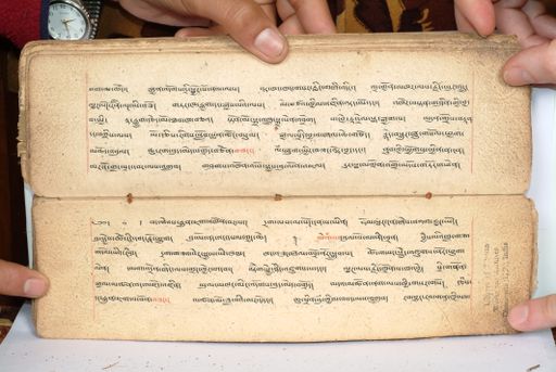 canvas: 1558bp_LTWA_800