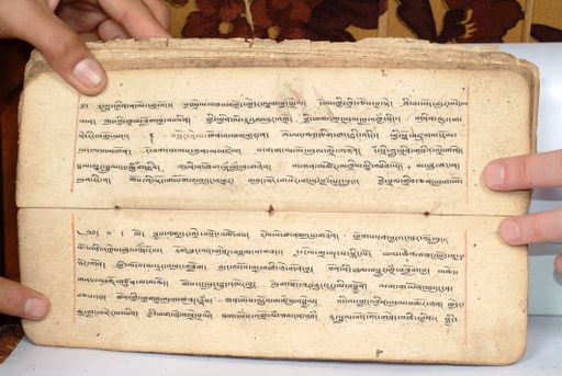 canvas: 1558fg_LTWA_800