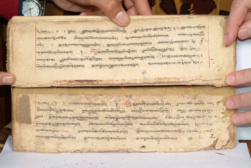 canvas: 1558cd_LTWA_800