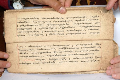 canvas: 1558be_LTWA_800