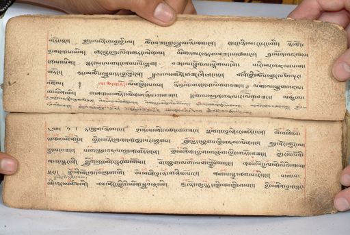 canvas: 1558o_LTWA_800