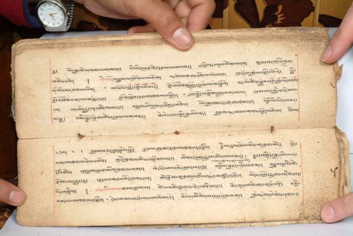 canvas: 1558ax_LTWA_800