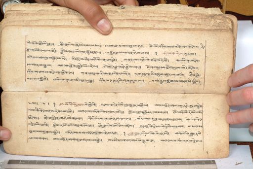 canvas: 1558ed_LTWA_800