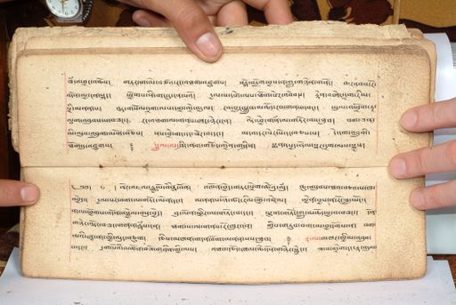 canvas: 1558cp_LTWA_800