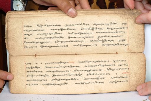 canvas: 1558bo_LTWA_800