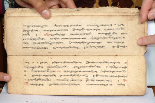 canvas: 1558ci_LTWA_800