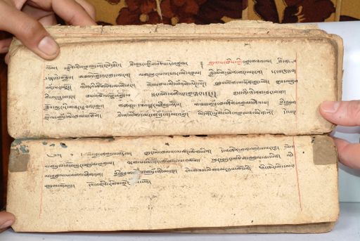 canvas: 1558fp_LTWA_800