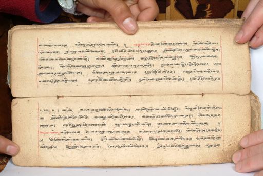 canvas: 1558as_LTWA_800