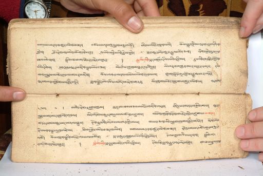 canvas: 1558bw_LTWA_800