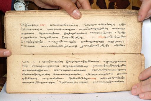 canvas: 1558bv_LTWA_800