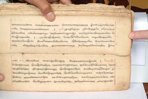 canvas: 1558ex_LTWA_800