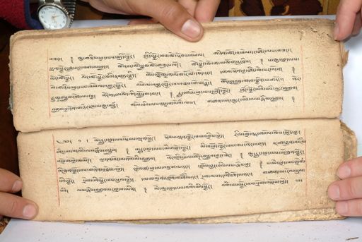 canvas: 1558bf_LTWA_800