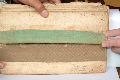 canvas: 1558eu_LTWA_800