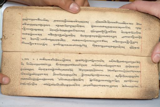 canvas: 1558m_LTWA_800