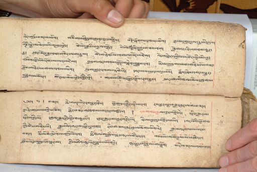 canvas: 1558ak_LTWA_800